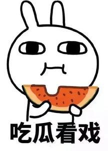 娱乐吃瓜酱漂流瓶,揭秘娱乐圈幕后故事